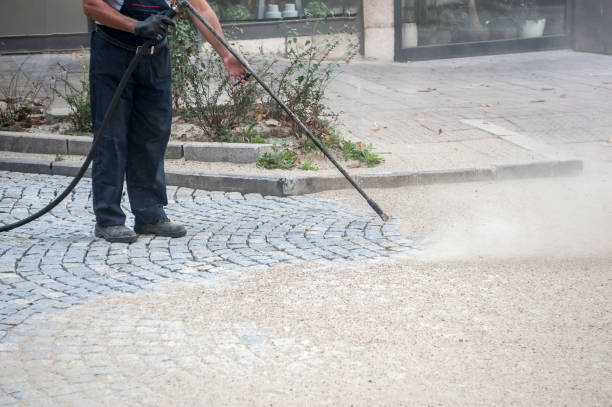 Best Winterizing Services  in Laredo, TX